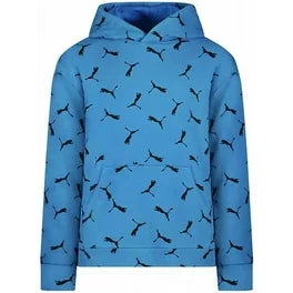 Puma Boy's Youth French Terry Hoodie With Kangaroo