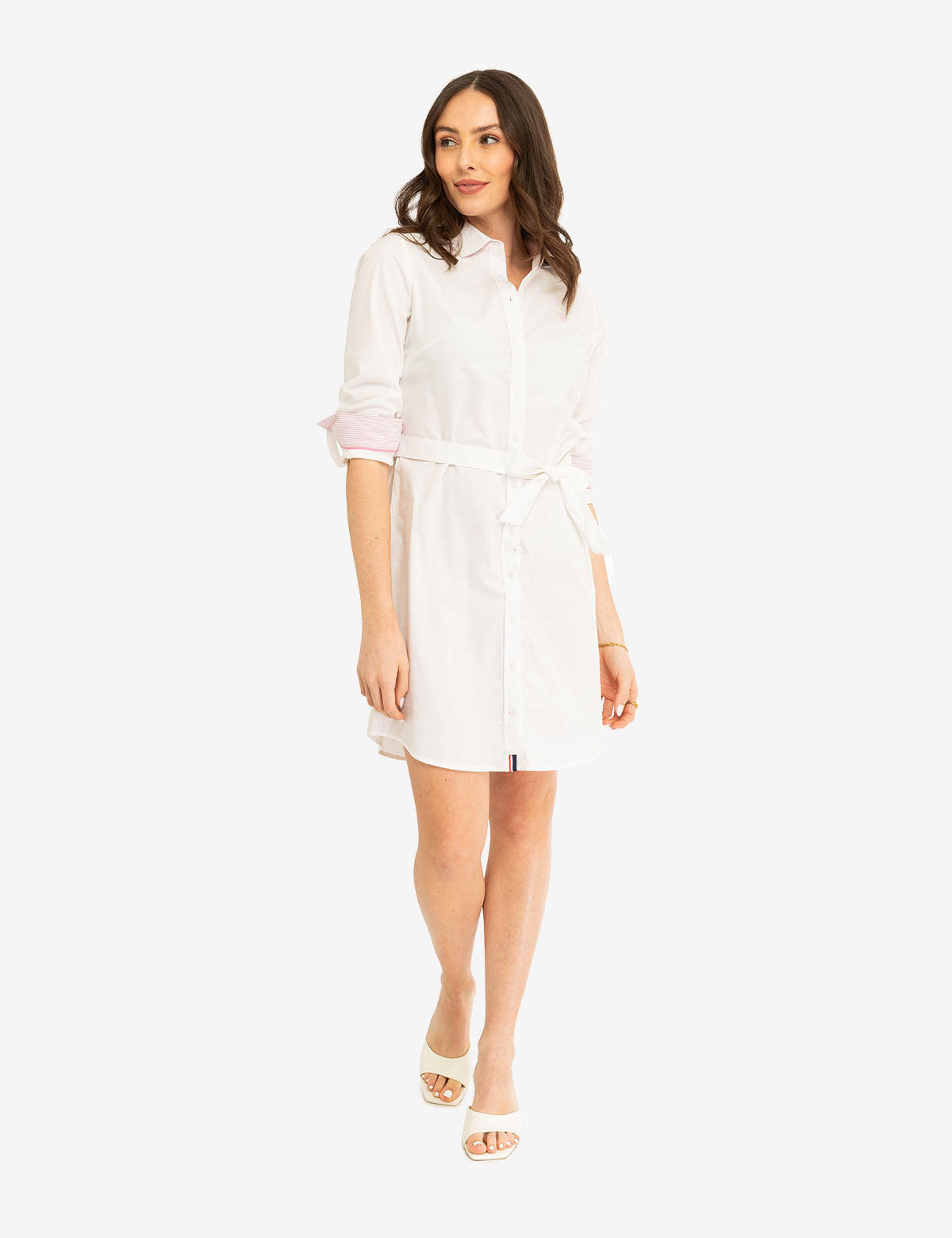 USPA Solid Oxford Dress