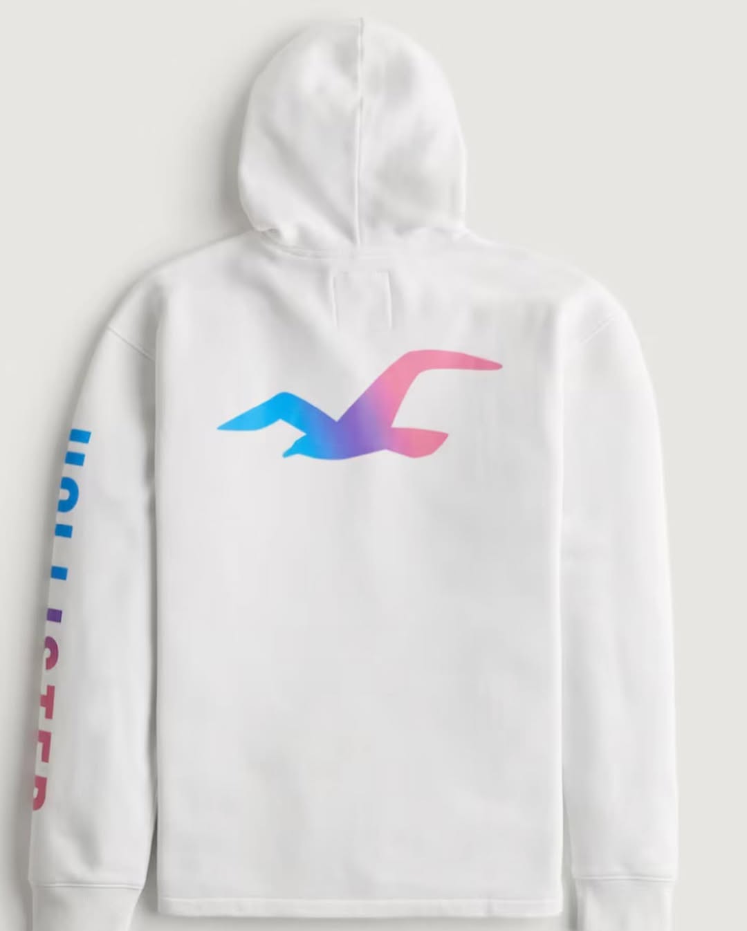 HOLLISTER Men s Logo Graphic Hoodie Men s Sale
