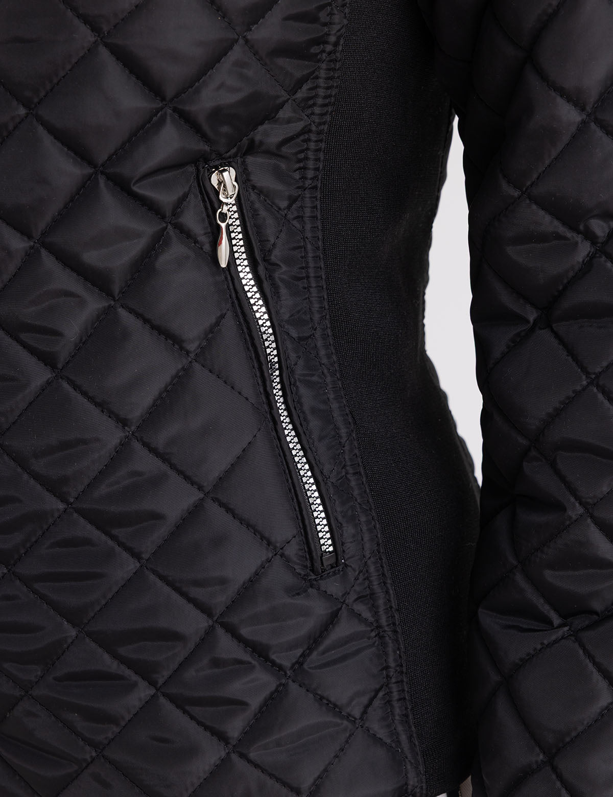 US Polo Assn Quilted Side Knit Moto Jacket - HIPPO US Brands US. POLO ASSN