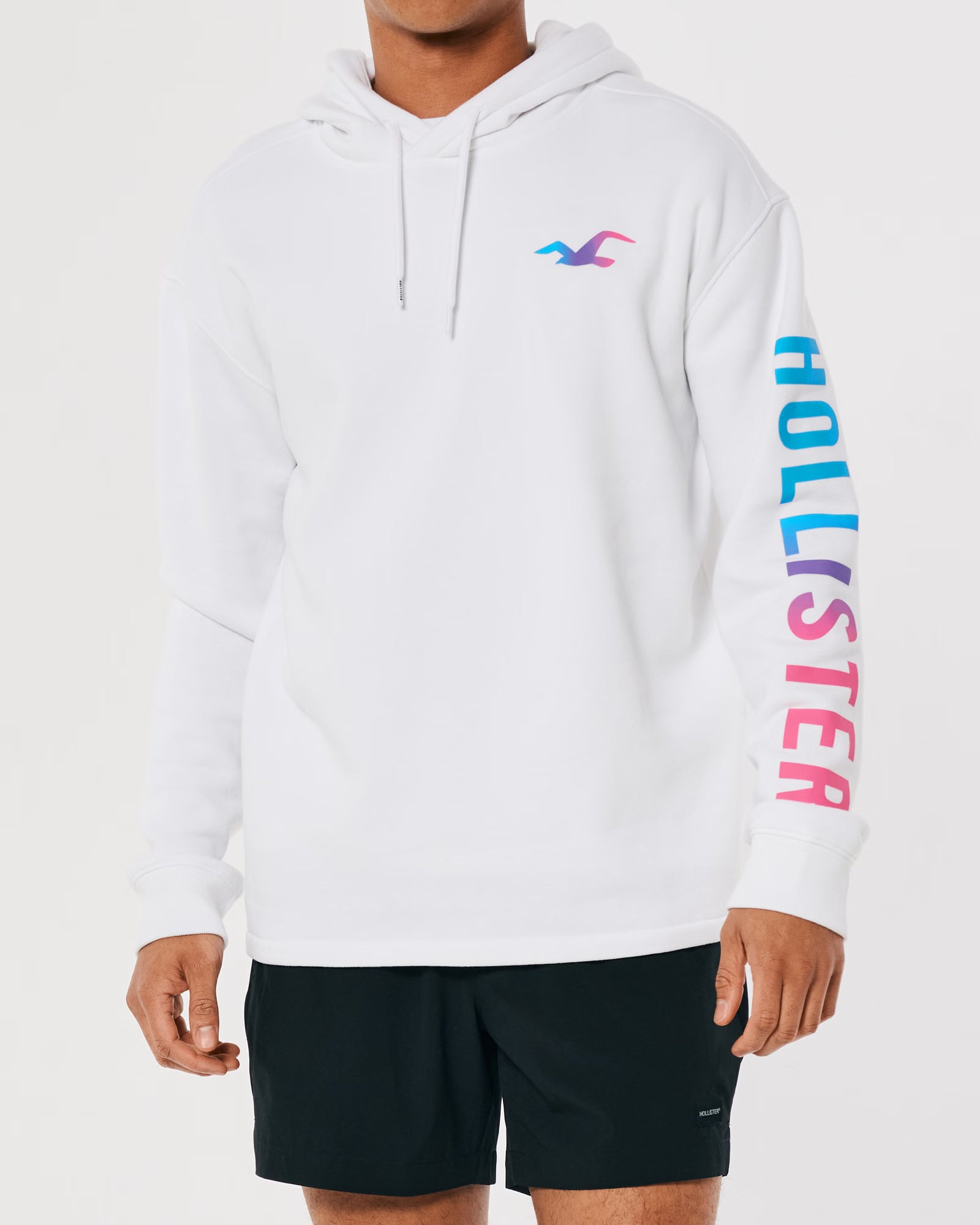 HOLLISTER Men s Logo Graphic Hoodie Men s Sale