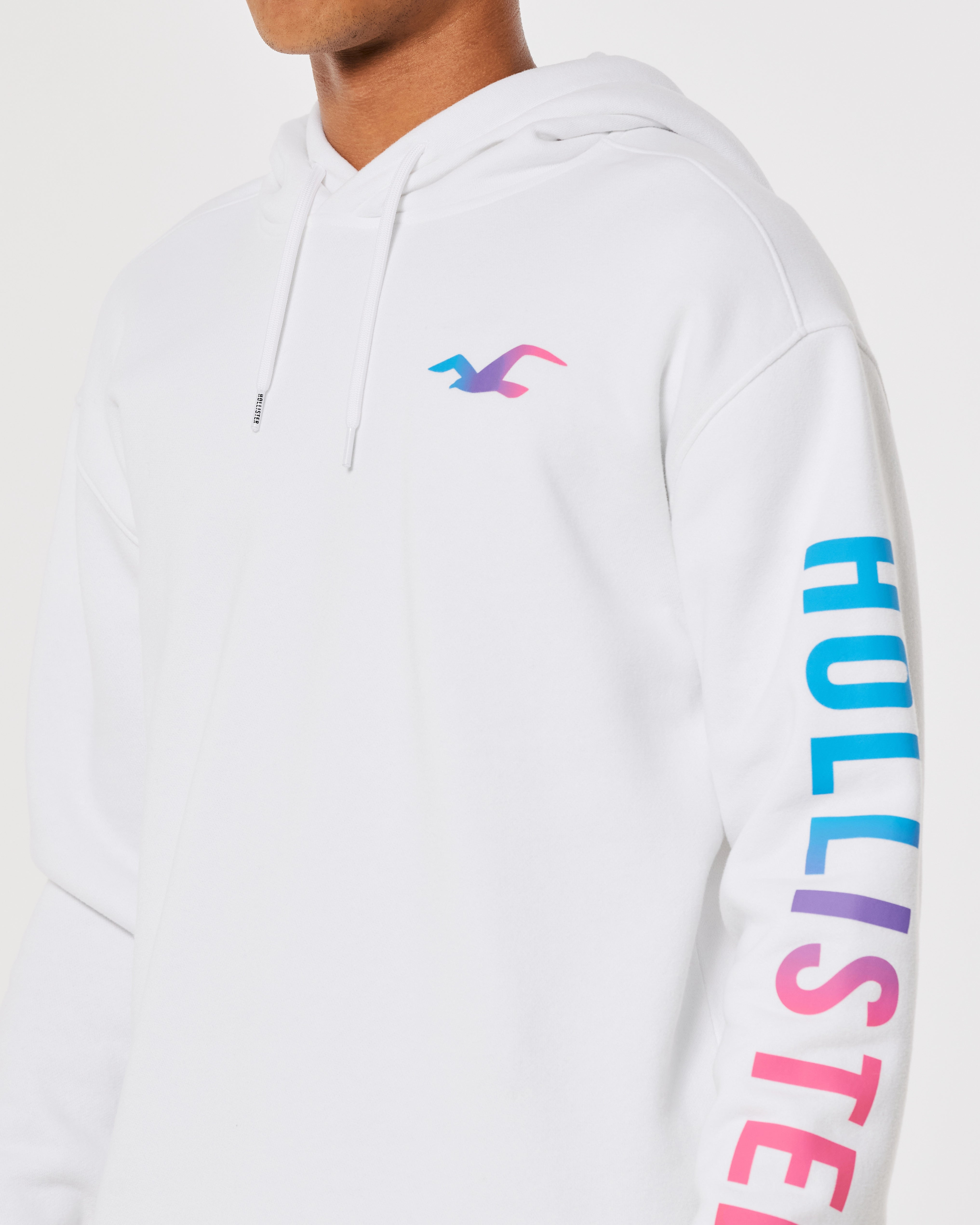HOLLISTER Men s Logo Graphic Hoodie Men s Sale