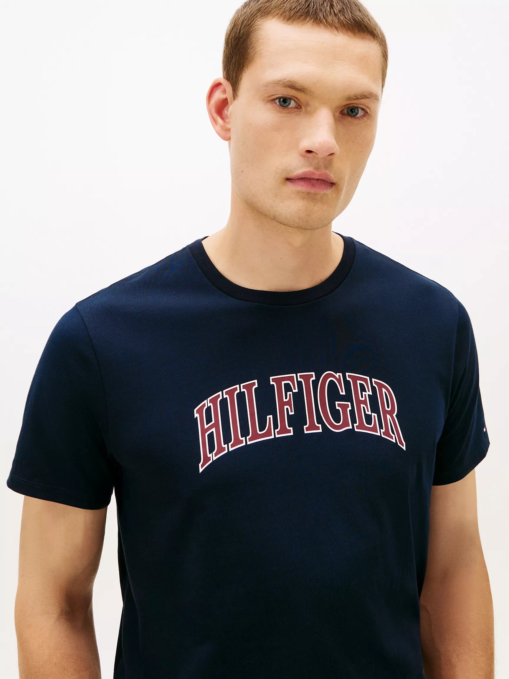 Tommy Hilfiger Hilfiger Arch Logo T-Shirt - HIPPO US Brands Tommy Hilfiger