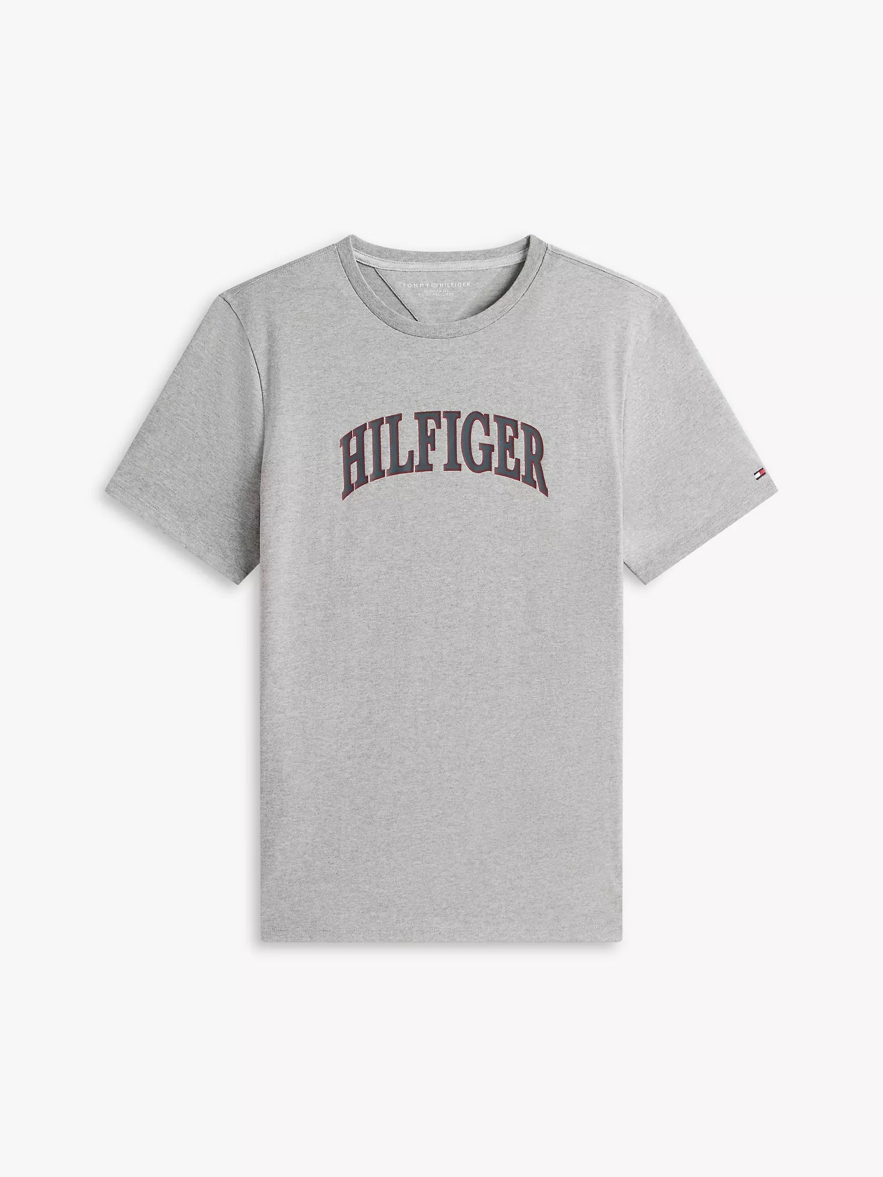 Tommy Hilfiger Hilfiger Arch Logo T-Shirt - HIPPO US Brands Tommy Hilfiger