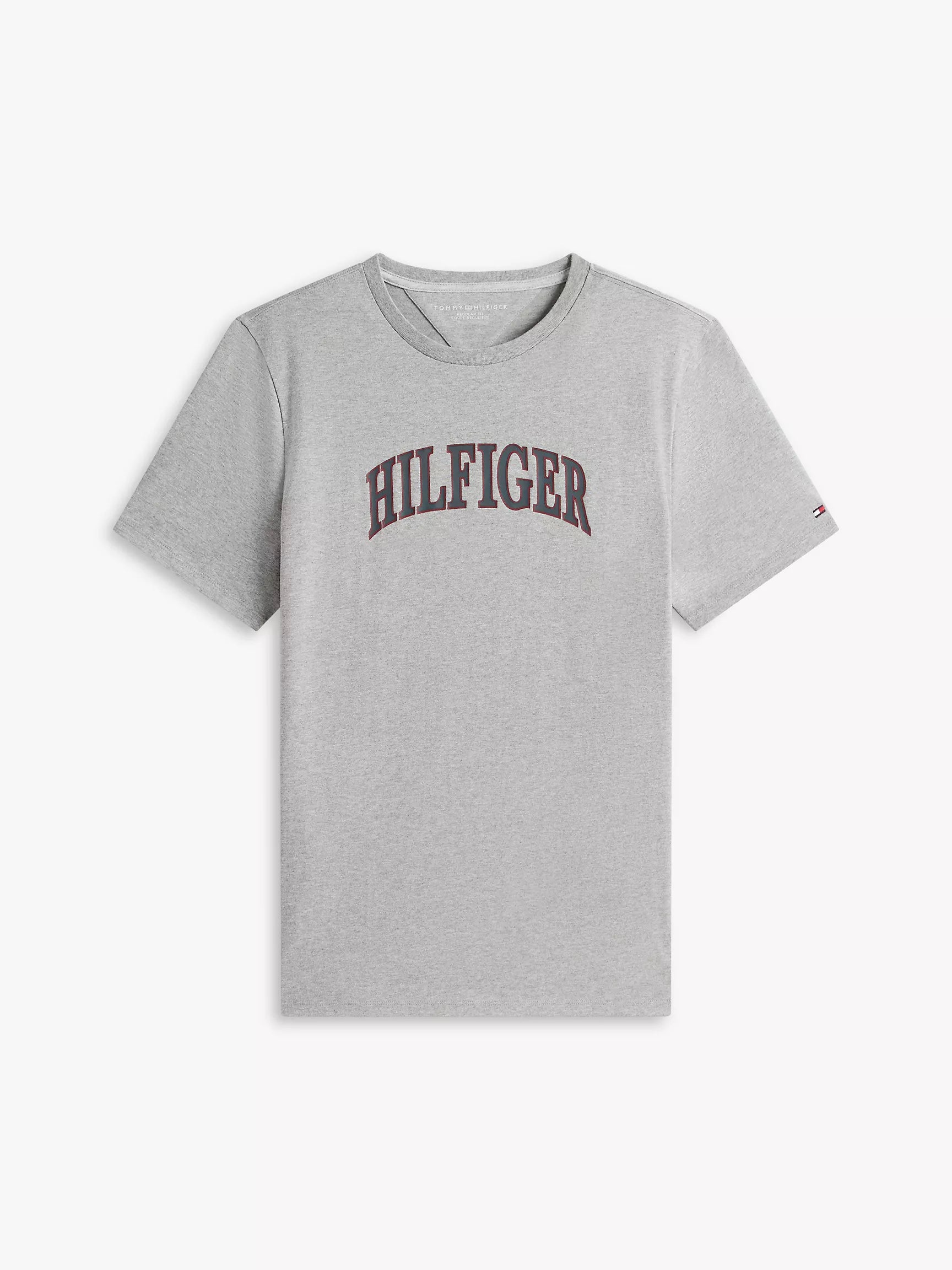 Tommy Hilfiger Hilfiger Arch Logo T-Shirt - HIPPO US Brands Tommy Hilfiger