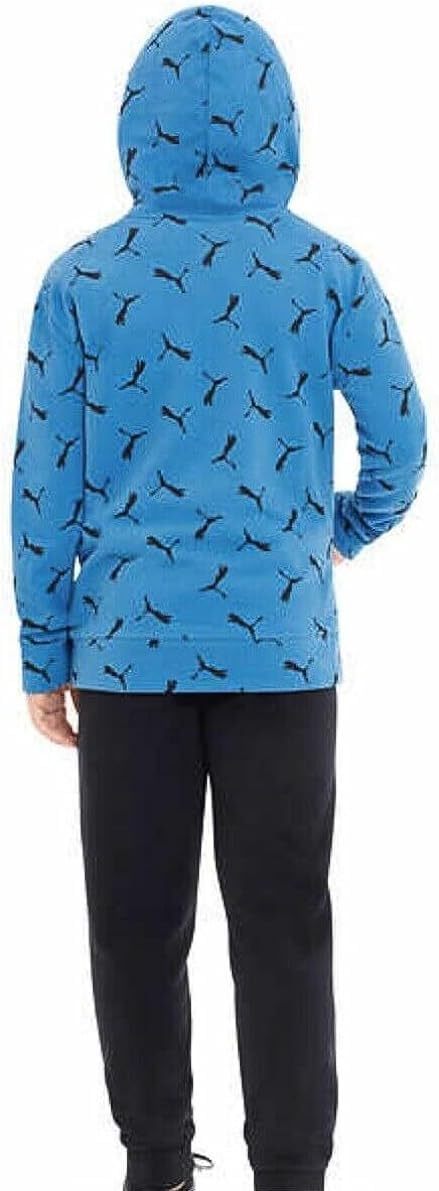 Puma Boy's Youth French Terry Hoodie With Kangaroo